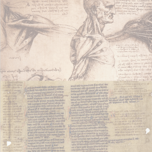 Exploring Linguistic and Technological Challenges in English/French–Swahili Legal and Medical Texts Translation