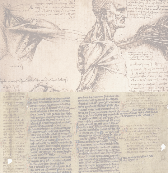 Exploring Linguistic and Technological Challenges in English/French–Swahili Legal and Medical Texts Translation